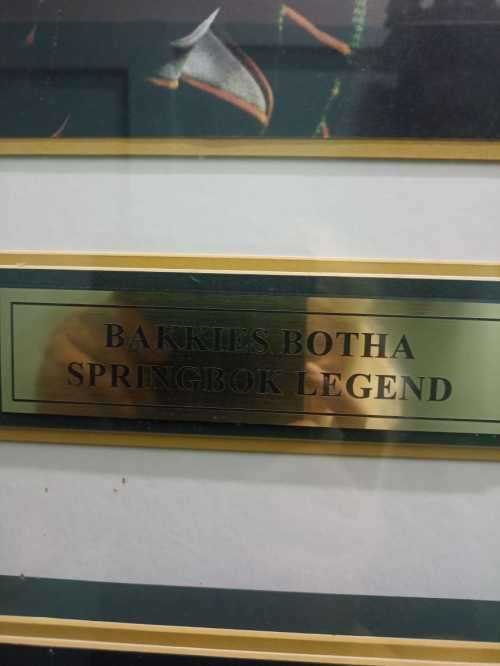 Springbok legend Bakkies Botha