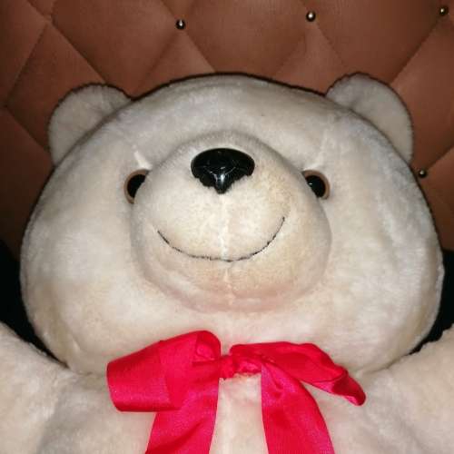 Big white Teddy bear