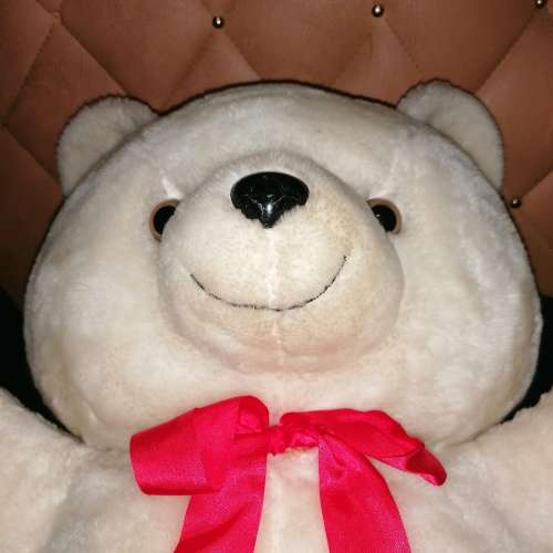 Big white Teddy bear