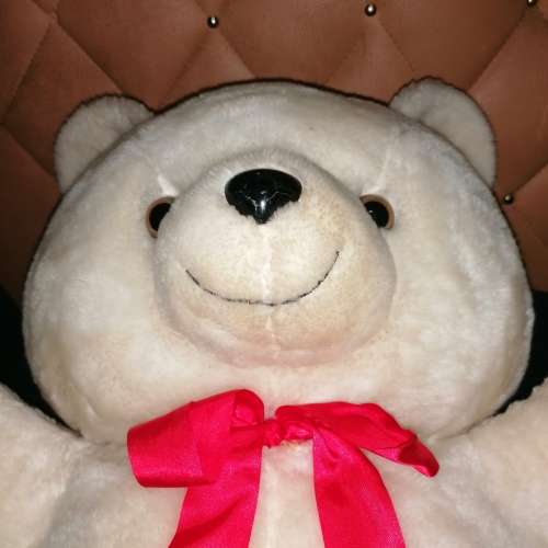 Big white Teddy bear