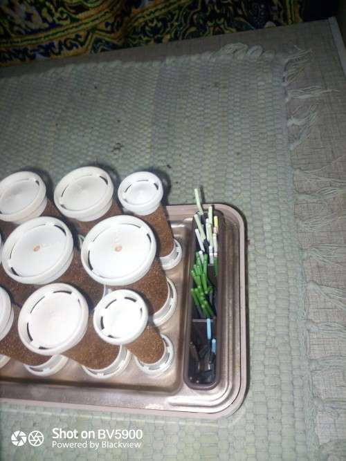 Clairol 21 piece electric curlers with pins