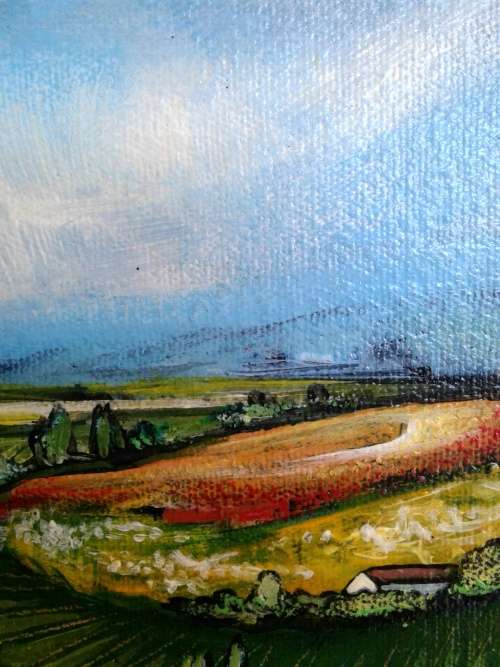 close ups of original acrylic painting by south african artist