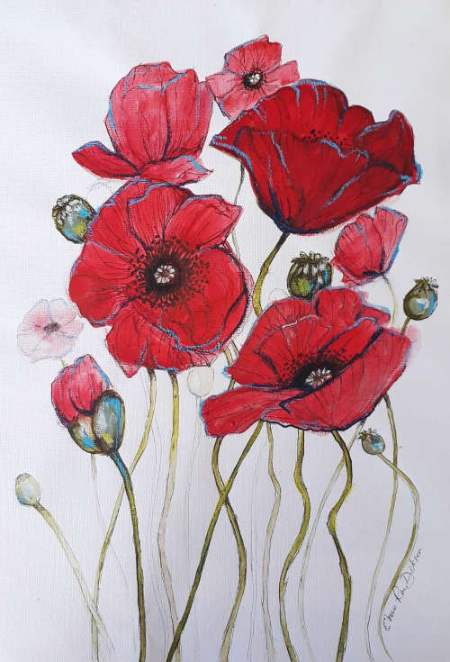 Botanical RED POPPY Painting by  Cherie Roe Dirksen