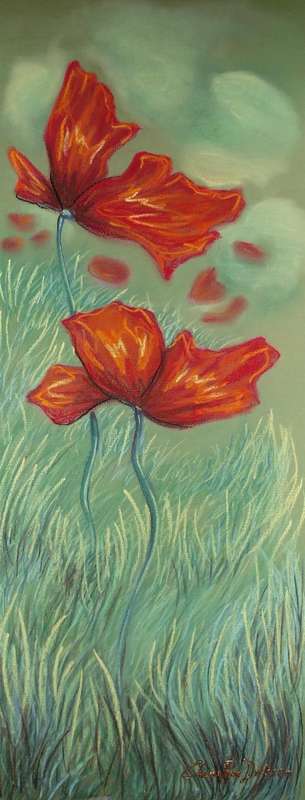 'TALL RED POPPIES' --- 640 x 250 --- Original Artwork by SA artist, Cherie Roe Dirksen