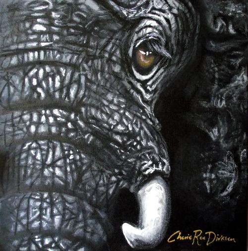 ELEPHANT FACE --- Original Painting on Boxed Canvas by SA Artist --- 305 x 305 x 40