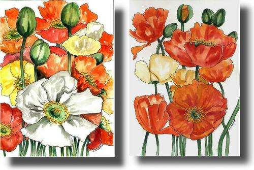 2-in-1 DEAL --- POPPIES  --  ORIGINAL Paintings  --  SA Artist, Cherie Dirksen