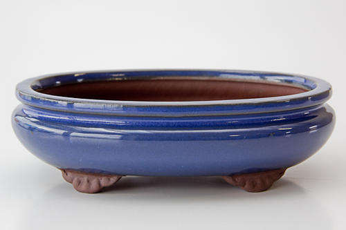 Bonsai Pot - Cobalt Blue