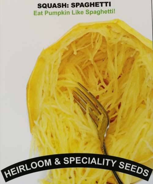 Squash: Spaghetti