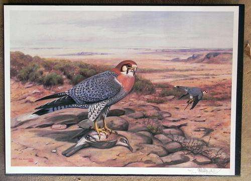 P.A Clancey. Signed Limited Edition Print .Goshawks