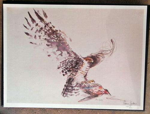 Pam Guhrs. Limited edtion. Signed Hawk and bird.