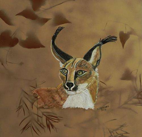 Caracal (lynx or Rooikat). Oils on Board By Jane Flowers 610x610