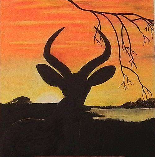 Sunset Mkuze Game Reserve. KwaZulu Natal. 600x600.By Jane Flowers