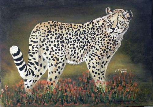 Night Predator 420 x 300 x 10mm boxed canvas by J Flowers
