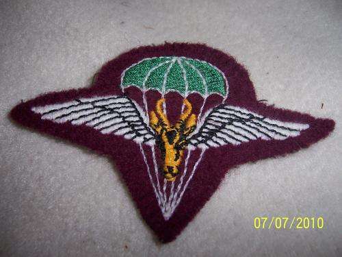 1 Para Bin Beret Badge,worn by non permanent members(Original)