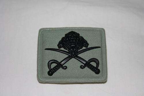 SANDF Lions Head PTI Badge - original