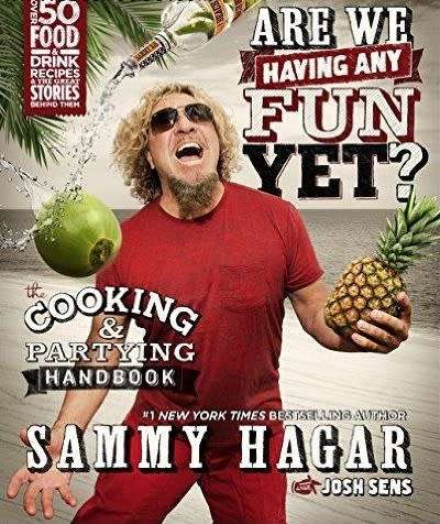 Are We Having Any Fun Yet - The Cooking & Partying Handbook