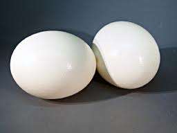 2X Ostrich Eggs (Clean) with wooden ring holders CRAZY FRIDAY R1 AUCTION!!!