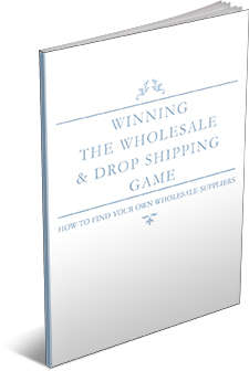 Winning The Wholesale & Dropshipping Game [EBook]