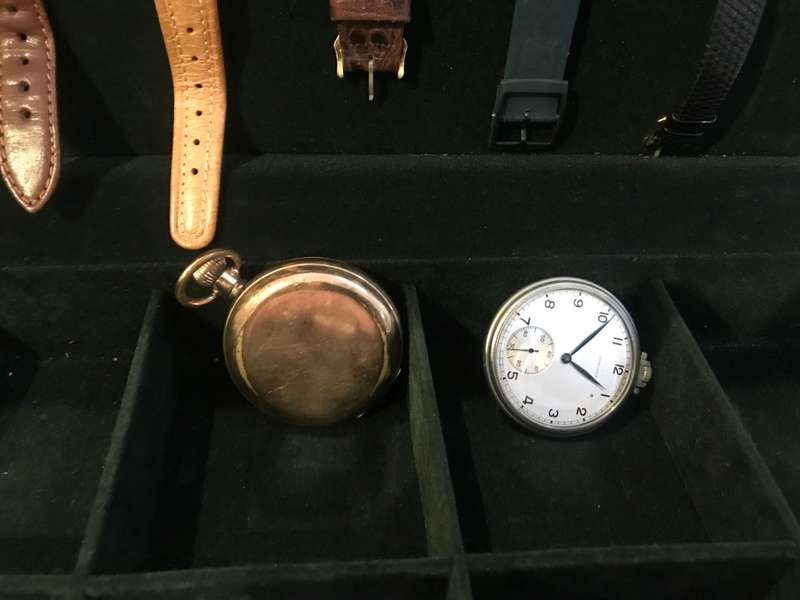 Case With Assorted Watches