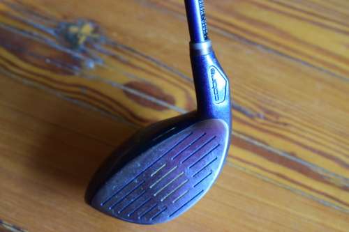 Lady Cobra 1 Driver 12d