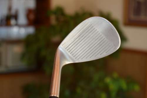 Tiger Shark Wedge 60d