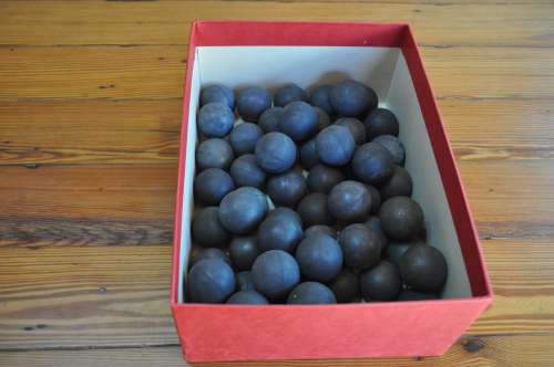 Pre Owned Squash Balls