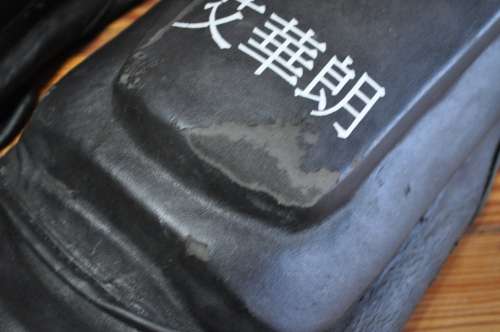 Everlast Shin Guards