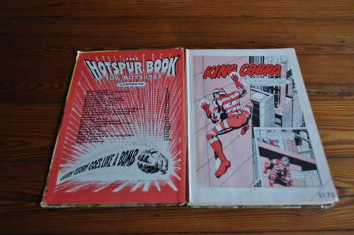 Vintage Hotspur Book for Boys 1983