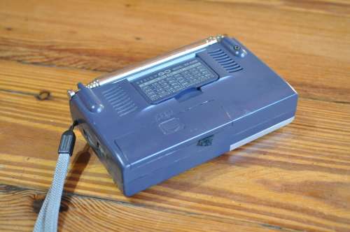 Design Go 10 Band Fm/Am Portable Pocket Radio