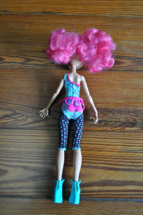 Monster High Howleen Wolf Doll