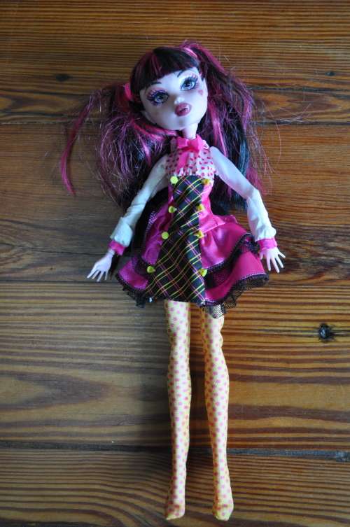 Monster High Forbitten Love Draculaura Doll
