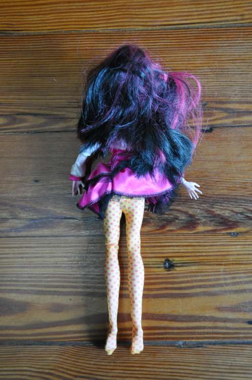 Monster High Forbitten Love Draculaura Doll
