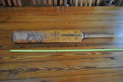 Vintage Gray Nicolls Cricket Bat