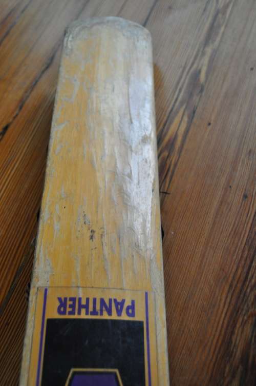 Slazenger Purple V Old School Cricket Bat