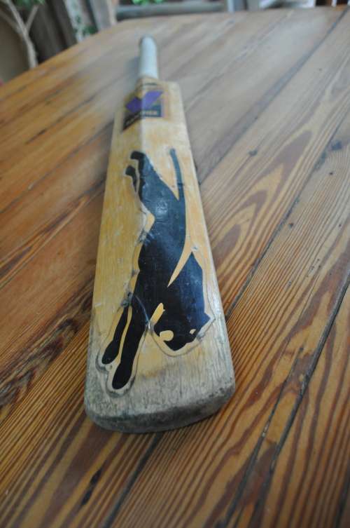 Slazenger Purple V Old School Cricket Bat