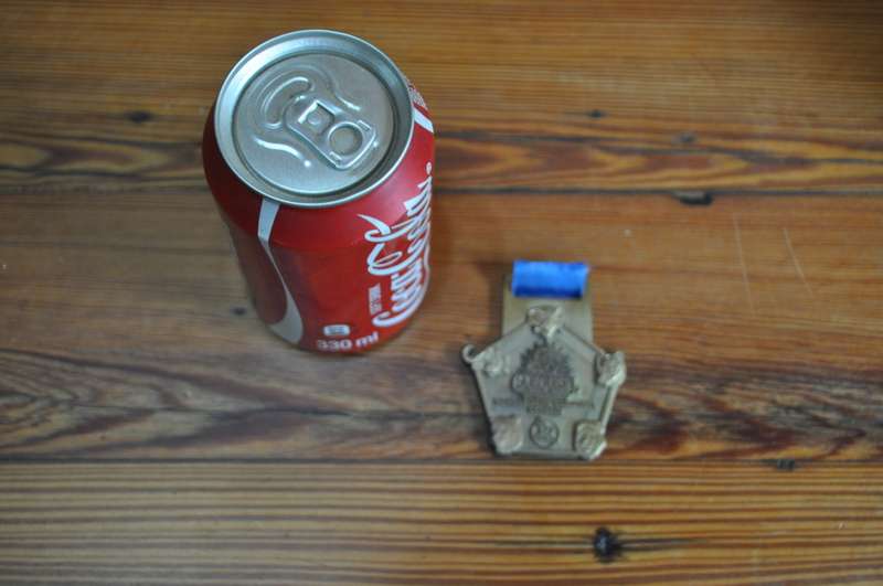 Carousel Sungardens Classic Medal