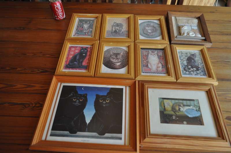 Framed Cat Prints (10 in total)