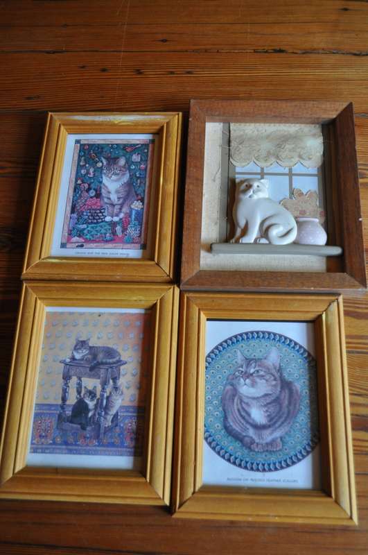 Framed Cat Prints (10 in total)
