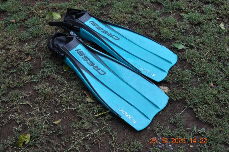 Cressi-Sub Frog Scuba Fins