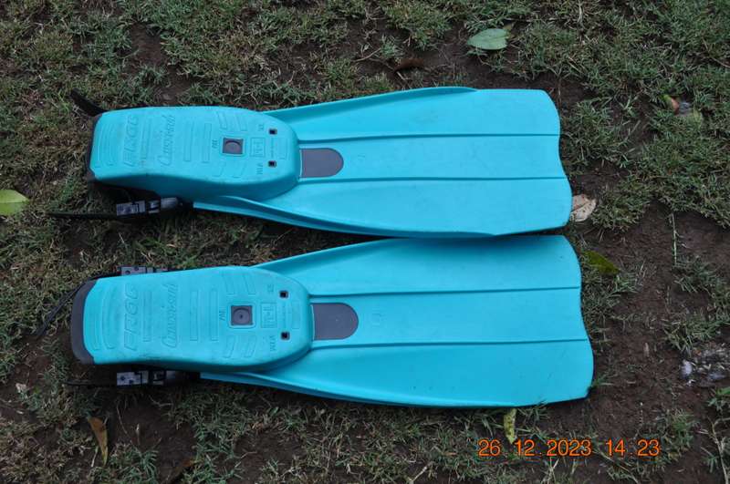 Cressi-Sub Frog Scuba Fins