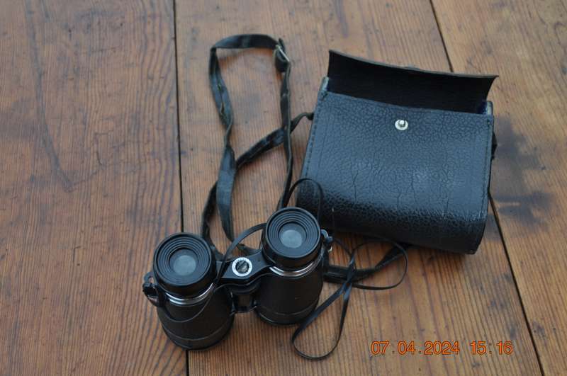 Vintage Binoculars In Carry Case
