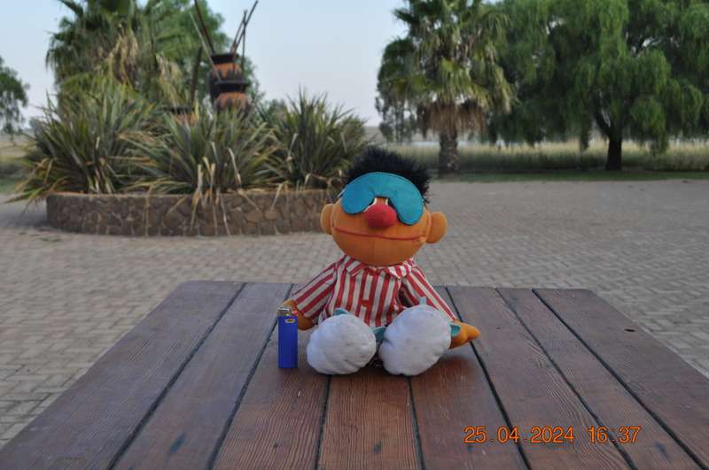 Vintage Ernie Sesame Plush Doll (selling as is)