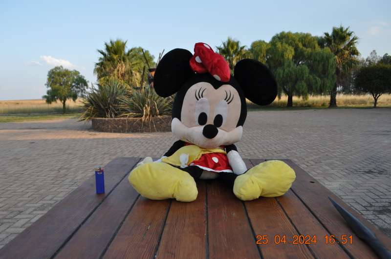 Disney Minnie Mouse Plush Toy