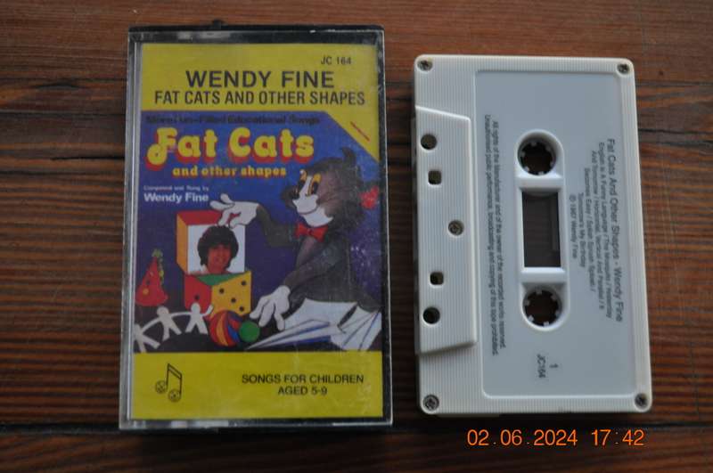 Wendy Fine - Fat Cats And Other Shapes (Cassette)
