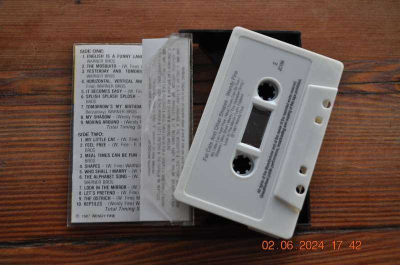 Wendy Fine - Fat Cats And Other Shapes (Cassette)