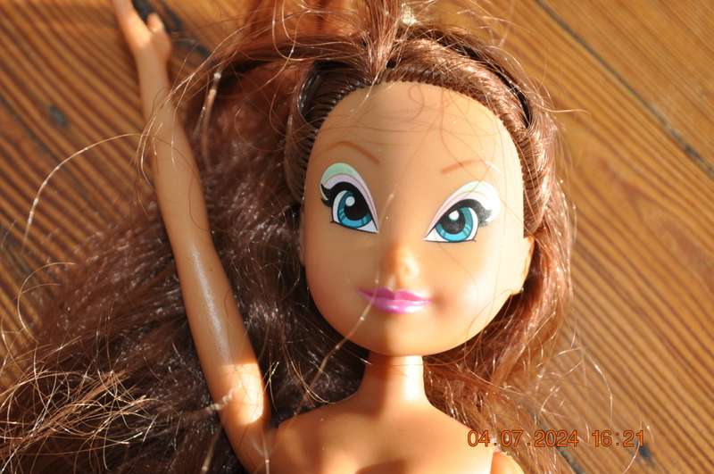 Winx Doll
