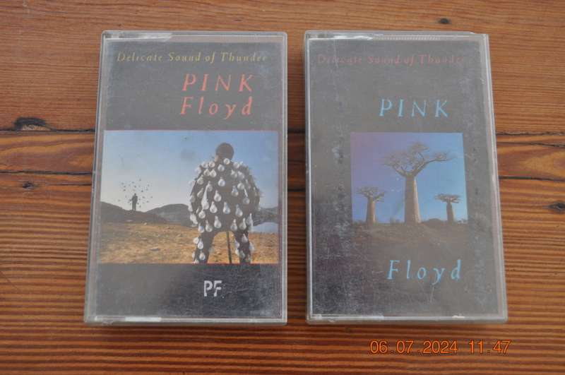 Pink Floyd - Delicate Sound Of Thunder : Live (2 Cassettes)