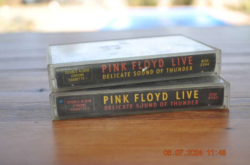 Pink Floyd - Delicate Sound Of Thunder : Live (2 Cassettes)