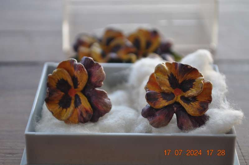 Vintage Floral Brooch and Earring Set