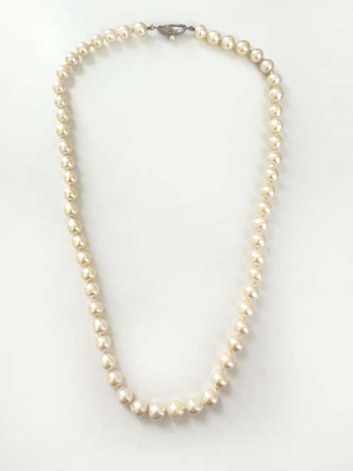 Necklace - Vintage Pearls with a Silver Clasp ML2031